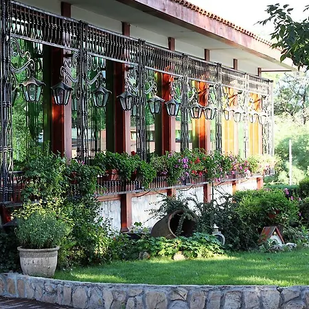 Rich Velingrad